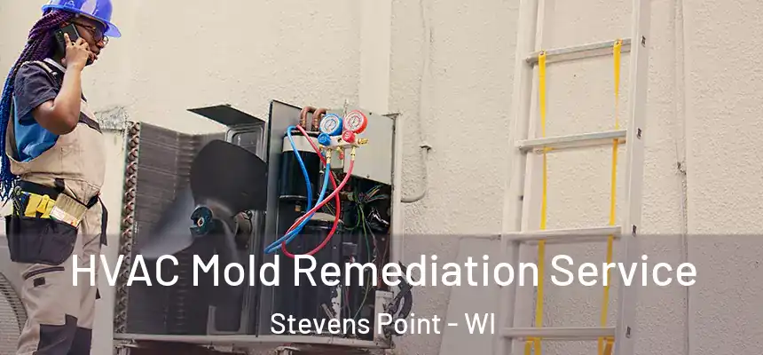  HVAC Mold Remediation Service Stevens Point - WI