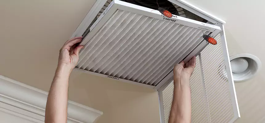 Preventive Cockroach-Proofing for Ducts in Stevens Point