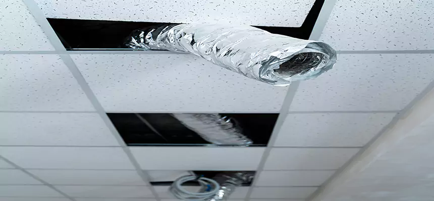 Our Air Duct Pet Hair Removal Services in Stevens Point, WI