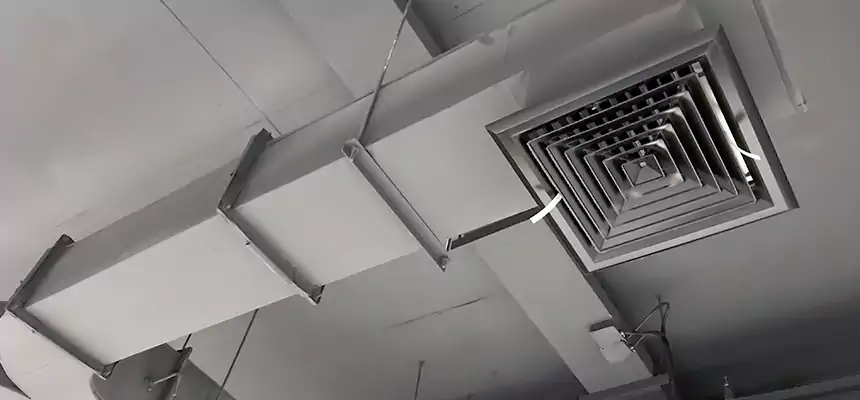 Restorative Allergy Relief Vent Cleaning – Coil, Blower & Housing Detail in Stevens Point