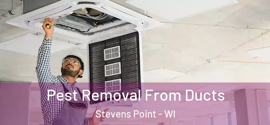 Pest Removal From Ducts Stevens Point - WI