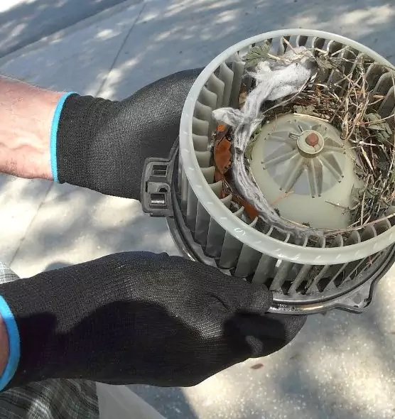 About Air Duct Mice Removal in Stevens Point, WI