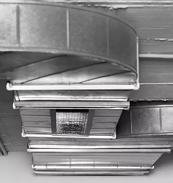 Professional Air Duct Pest Removal in Stevens Point, WI