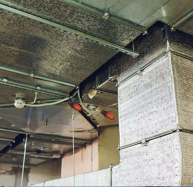 Why Homeowners & Businesses Trust Us in Stevens Point, WI?