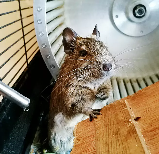 Why Homeowners & Businesses Trust Us Stevens Point, WI?