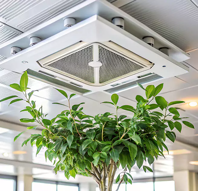 Why Homeowners & Businesses Trust Us in Stevens Point, WI