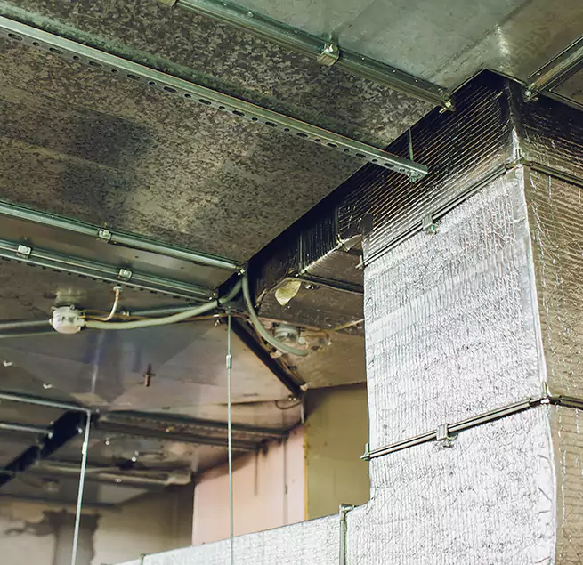 Why Homeowners & Businesses Trust Us in Stevens Point, WI?